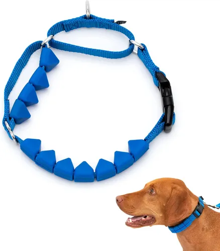 PetSafe Soft Point - Collar de entrenamiento sin tirones para perros, puntos suaves de goma, mediano, 3/4 pulgadas, azul rey