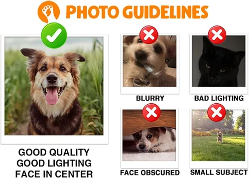 Miniatura 7 de Wrappiness Atrapasoles personalizado para retrato de perro con vitrales – Foto personalizada para perros, regalo de condolencias más profunda por