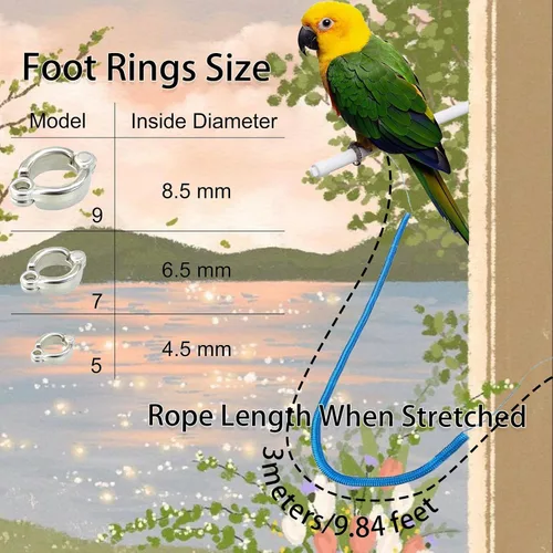 Miniatura 2 de Correa de pájaro, arnés de loro antimordeduras, cuerda retráctil para pájaros voladores con 3 piezas de diferentes tamaños de anillos para pies
