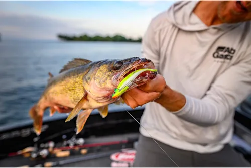 Miniatura 2 de ¡Berkley Gulp! Cebo suave de pesca de pececillos vivos