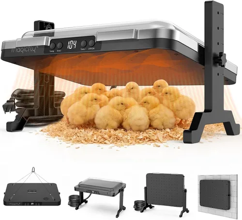 Magicfly - Plato de criador para pollitos ajustable de 200 W con temperatura y temporizador, diseño seguro que cumple con UL, calentador radiante