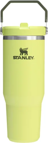 Miniatura 82 de Stanley IceFlow - Vaso con pajilla abatible con asa, de 20 onzas, tapa giratoria y popote abatible, botella de agua resistente a fugas, acero