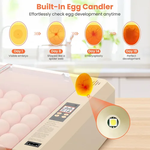Miniatura 5 de Incubadora de huevos 36-60 con giro automático de huevos y control de humedad, incubadora de huevos de pollo ajustable con pantalla digital