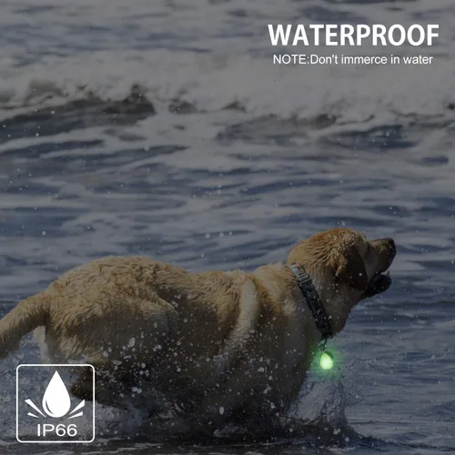 Miniatura 7 de Paquete de 2 luces recargables para perros, luz para collar de perro, impermeable, luces de seguridad LED para perros con 3 modos, múltiples
