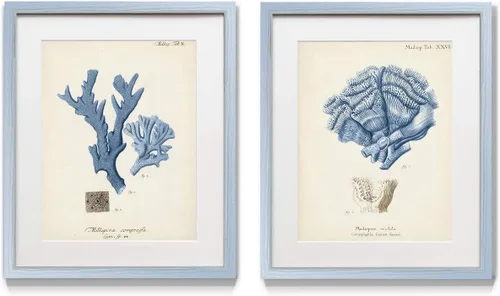 Renditions Gallery Coral antiguo en azul marino I juego de 2 piezas enmarcado, par temático de océano submarino, azul, marco plateado moderno, Coral