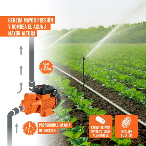 Miniatura 5 de Truper 10068 / BOAP-1/2 - Bomba de agua con impulsor periférico de 1/2 HP