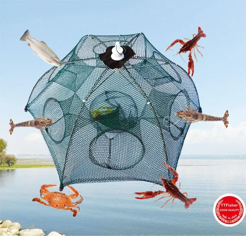 Miniatura 8 de Trampa de red de pesca, portátil, plegable, plegable, red de cangrejo fundido, cebo de inmersión para peces camarones, cangrejos de cangrejo