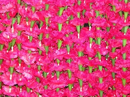 Miniatura 9 de 5 guirnaldas de flores artificiales de caléndula de 5 pies de largo, celebraciones, bodas indias, eventos temáticos, decoraciones, decoraciones