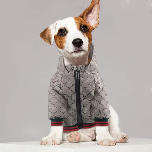 Miniatura 5 de Sudadera con capucha para perro de diseño clásico, abrigo de lujo para cachorros, abrigo cálido para mascotas, diseño de cremallera, ropa Teddy