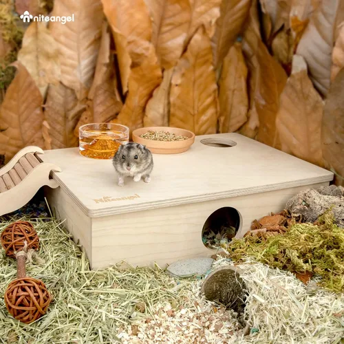 Miniatura 3 de Niteangel Casa de hámster de múltiples cámaras y laberinto: - Escondites de varias habitaciones y juguetes de exploración de túneles para hámster