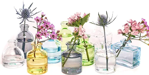 Chive - Floreros pequeños de cristal para decoración del hogar, centros de mesa, eventos, jarrones de flores individuales, aspecto vintage, a granel