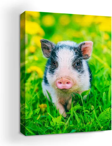 Miniatura 76 de Mavis Print - Lienzo decorativo para pared con diseño de conejo/conejo, 36 x 36 pulgadas, decoración de pared de animales impresos en HD y marco