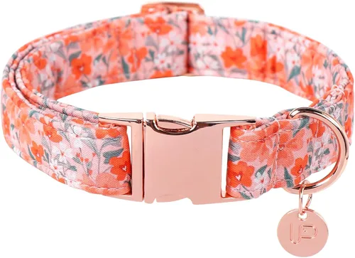 Miniatura 15 de Collar de perro de algodón de dinosaurio con hebilla de metal, collar de regalo para niñas o niños pequeños, medianos y grandes, lindos collares