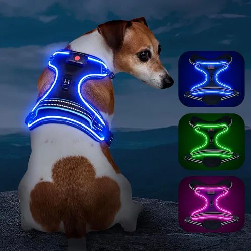 Miniatura 7 de Arnés para perro iluminado con batería pequeño