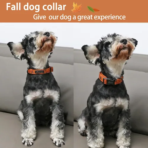 Miniatura 3 de Aring Pet Collar de algodón, ligero y ajustable, con hebilla de liberación rápida, para perros pequeños, medianos y grandes, otoño, naranja