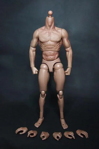 Miniatura 9 de Cuerpo masculino de escala 1/6, figura desnuda muscular flexible de 12 pulgadas, modelo de cabeza esculpida para colección de juguetes calientes