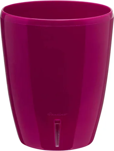 DECOPOTS - Juego de 3 macetas de orquídeas de riego automático - Maceta absorbente para flores - Indicador de nivel de agua (juego de 3) - 4.9
