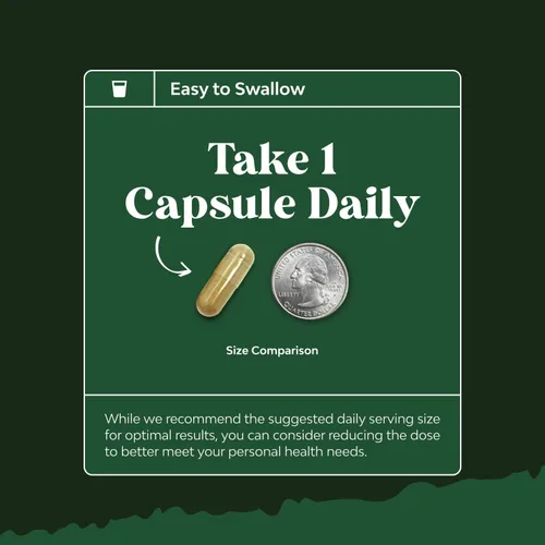 Miniatura 7 de Potent Olive Leaf Extract Cápsulas – Suplemento antioxidante de alta resistencia con hoja de olivo pura con 20% de oleuropeina – Suplemento herbario
