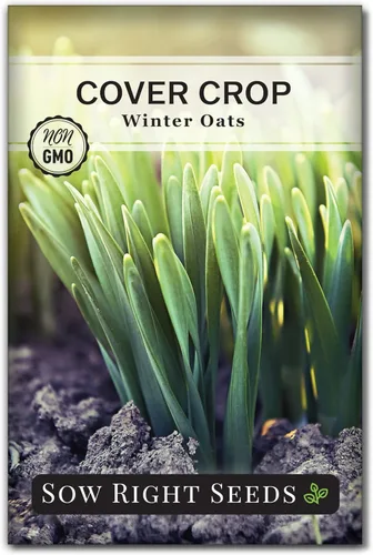 Sow Right Seeds - Semilla de avena de invierno para plantar - Cubre los cultivos para plantar en tu huerto casero - Enriquece el suelo - Suprime las