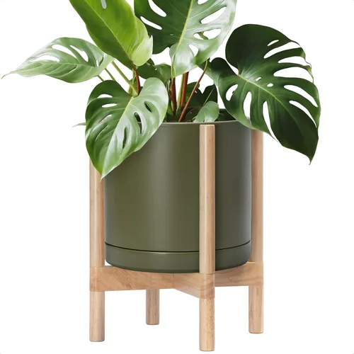 Miniatura 26 de D'vine Dev Maceta de cerámica con soporte de ébano – Maceta redonda moderna de 8 pulgadas con soporte para maceta de madera, color negro, 55-B-M-2