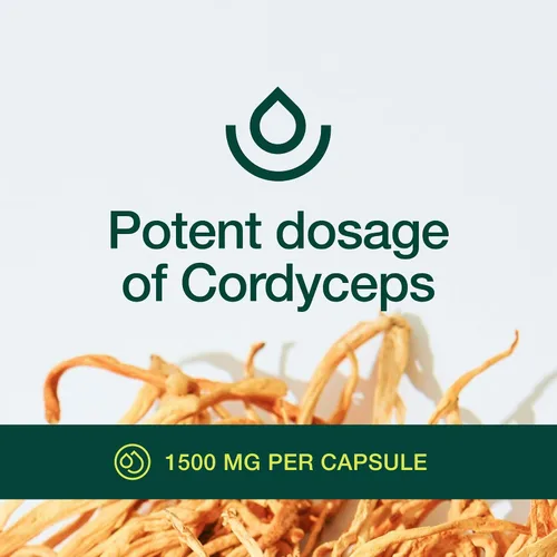 Miniatura 5 de Cápsulas Cordyceps orgánicas (extracto de hongo Cordyceps Sinensis) - 1500 mg por porción - Apoyo de energía y resistencia - Rico en alfa glucano