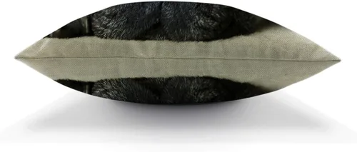 Miniatura 3 de HGOD DESIGNS Funda de almohada de perro Pug de 18 x 18 pulgadas con cremallera de dos lados