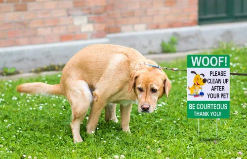 Miniatura 3 de WaaHome Letrero de perro con estacas de metal con estacas de metal «Please Pick Up After Your Dog» de 8 x 12 pulgadas, letrero de «Please Pick Up