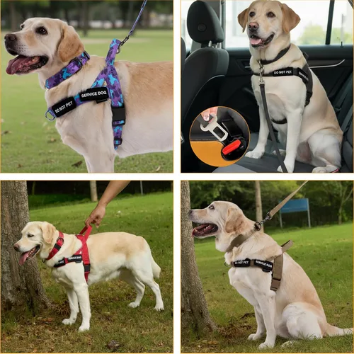Miniatura 6 de Annchwool Arnés para perro sin tirones, juego de collar y correa reflectante resistente - Correa para perro con doble asa y clip de cinturón
