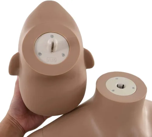 Miniatura 2 de Maniquí de forma de cuerpo de torso ajustable, soporte de trípode para vestido, exhibición de joyas, maniquí femenino sexy con base de vidrio