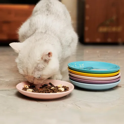Miniatura 3 de Plato de cerámica poco profundo para gatos de 6 pulgadas, cuencos de comida para gatos sin fatiga, plato ancho y pequeño para gatitos y gatitos