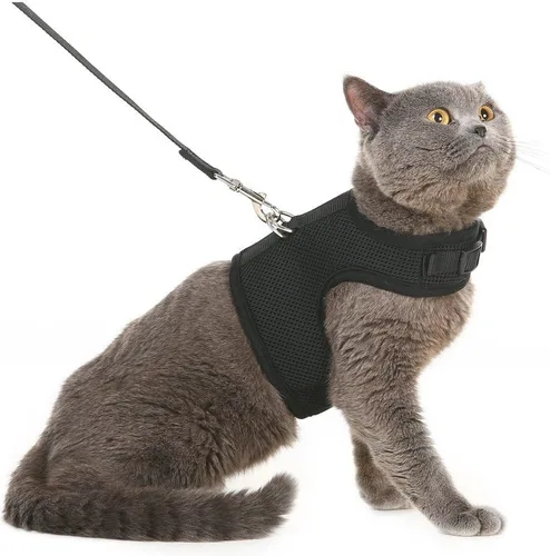 Miniatura 30 de PUPTECK Juego de arnés y correa de malla suave para gatos, arnés acolchado para mascotas, a prueba de escape, para gatos, perros pequeños, conejos