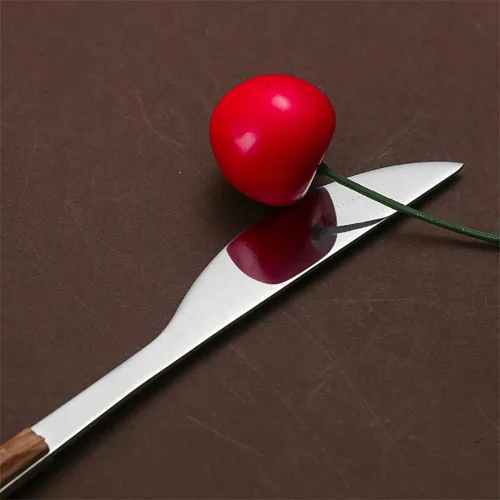 Miniatura 3 de Juego de cubiertos de madera de 30 piezas para 6 cubiertos de acero inoxidable duraderos, juego de cubiertos de madera modernos para el hogar