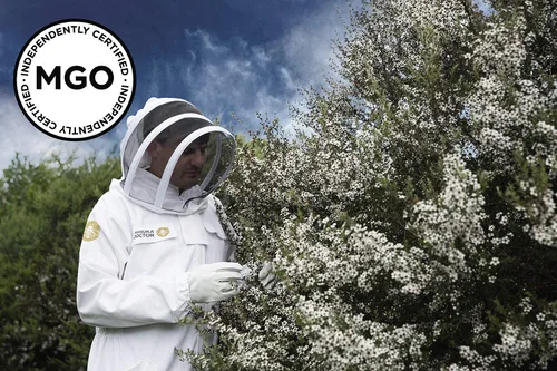 Miniatura 8 de MANUKA DOCTOR - Paquete monofloral de miel de Manuka UMF8/MGO 182+ SQUEEZY y MGO 525+, miel de Nueva Zelanda 100% pura. Certificado. Garantizado.