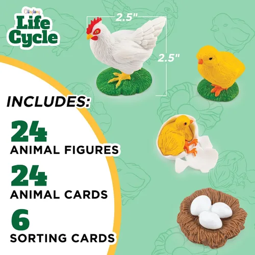Miniatura 2 de Kit de animales de ciclo de vida, juguete de ciencia Montessori con juego de 24 piezas, mariposa, rana, pollo, abeja, mariquita y tortuga, regalo