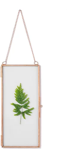 Miniatura 8 de NCYP Marco flotante de vidrio pequeño para flores secas prensadas, 4.1 x 9 pulgadas, clip para colgar en la pared, marco de fotos de doble vidrio