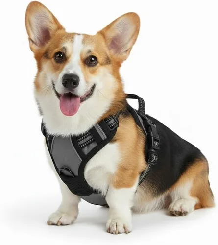 Miniatura 17 de Arnés para perro sin tirones, chaleco táctico verde XL, arnés extra grande de nailon 900D resistente con asas de fácil control, chaleco acolchado