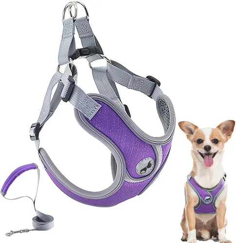Miniatura 6 de Arnés para perro con juego de correa, arneses para cachorros con acolchado transpirable para entrenamiento y carrera de perros pequeños (XS, gris)
