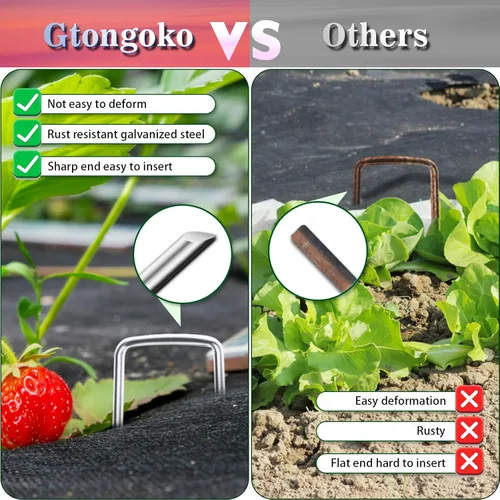 Miniatura 4 de Gtongoko Paquete de 120 grapas galvanizadas para paisaje, estacas para cubierta de plantas de jardín, de 10 pulgadas, calibre 11, grapas SOD