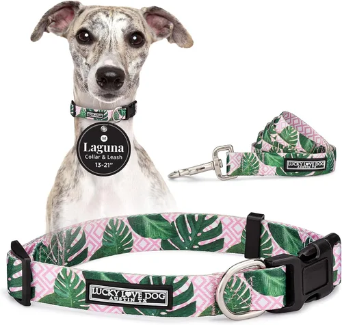 Miniatura 81 de Lucky Love Dog - Collar para perras pequeñas, diseño Blackbird de estampado alegre con flores de primavera y verano, talla XS