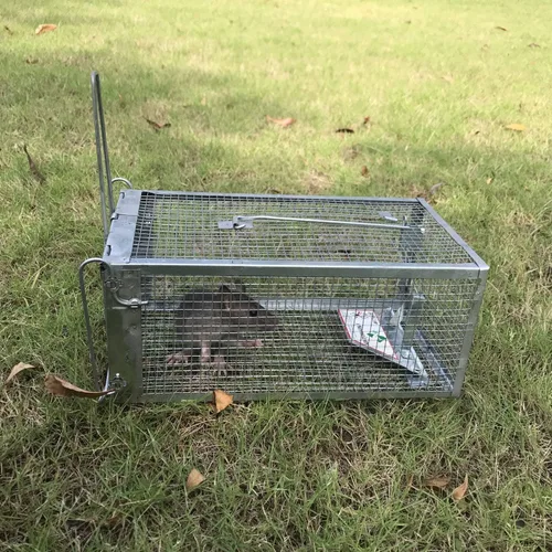 Miniatura 5 de Kensizer Paquete de 2 trampas para jaula animal, humana, que funciona para ratones, ratones, ardillas, ratones, ratones, ratones, hámsteres y otros