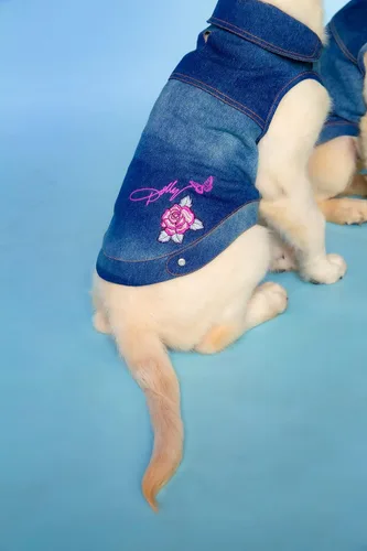 Miniatura 2 de Dolly Doggy Parton - Chaqueta de mezclilla azul con cuello para perros, ropa para perros
