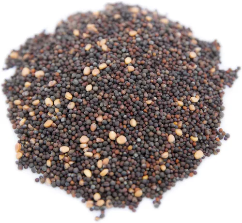 Miniatura 5 de Superfood Microgreen Seeds Mix para bandejas de cultivo Microgreens 1 libra Semillas de colinabo morado sin OMG, colinabo, rábano, nabo