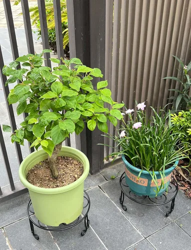 Miniatura 6 de Paquete de 2 Soportes Metálicos para Plantas de 13 Pulgadas de Diámetro para Plantas Grandes de Interior y Exterior, Soporte de Macetas Resistente