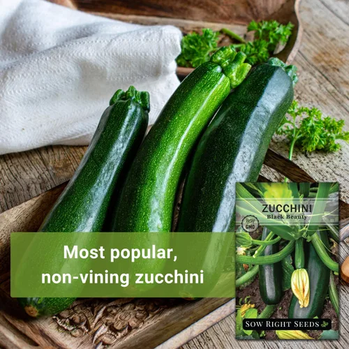 Miniatura 5 de Sow Right Seeds - Semillas de calabacín Black Beauty para plantar - Paquete de reliquia sin OMG con instrucciones para plantar un huerto doméstico