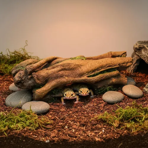 Miniatura 7 de JIHAQUA Decoración de Terrario de Corteza de Resina para Acuario, Escondite para Lagarto, Serpiente o Reptil, Cueva de Escondite para Lagarto, Araña