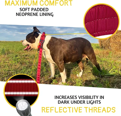 Miniatura 4 de ADITYNA Collar de perro resistente para perros grandes, collar reflectante burdeos con asa para entrenar y caminar, ancho, grueso, táctico, Borgoña