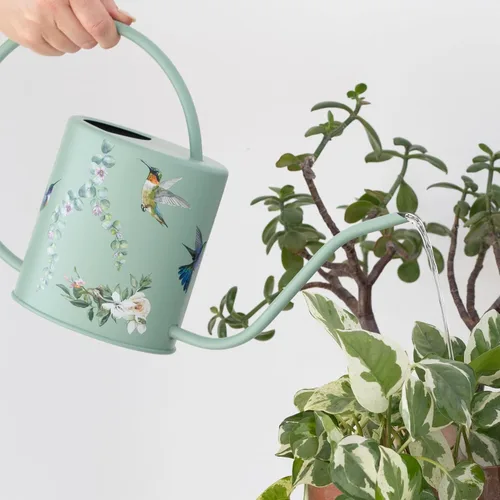 Miniatura 2 de Regadera para Plantas de Interior - Linda Regadera Decorativa de Metal para Jardinería, Pequeña Regadera para Plantas de Casa y Flores con Boquilla