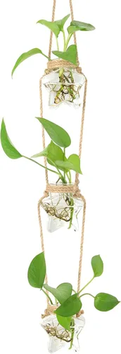Miniatura 9 de XXXFLOWER Estación de propagación para colgar en la pared, florero de cristal en forma de estrella de 2 niveles para maceta hidropónica, terrario