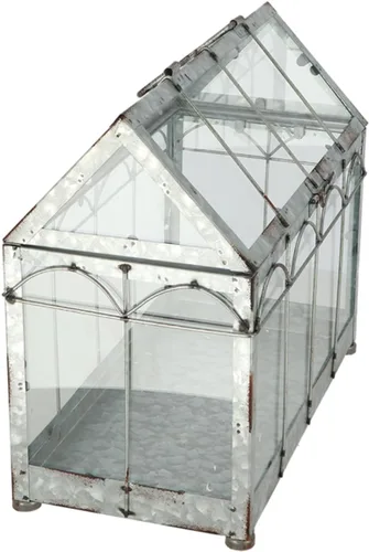 Miniatura 7 de Esschert Design ZB22 - Invernadero/terrario de aspecto vintage, metal galvanizado envejecido, mediano, plateado