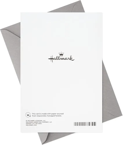 Miniatura 6 de Hallmark Tarjetas de graduación, día del diploma (10 tarjetas con sobres)